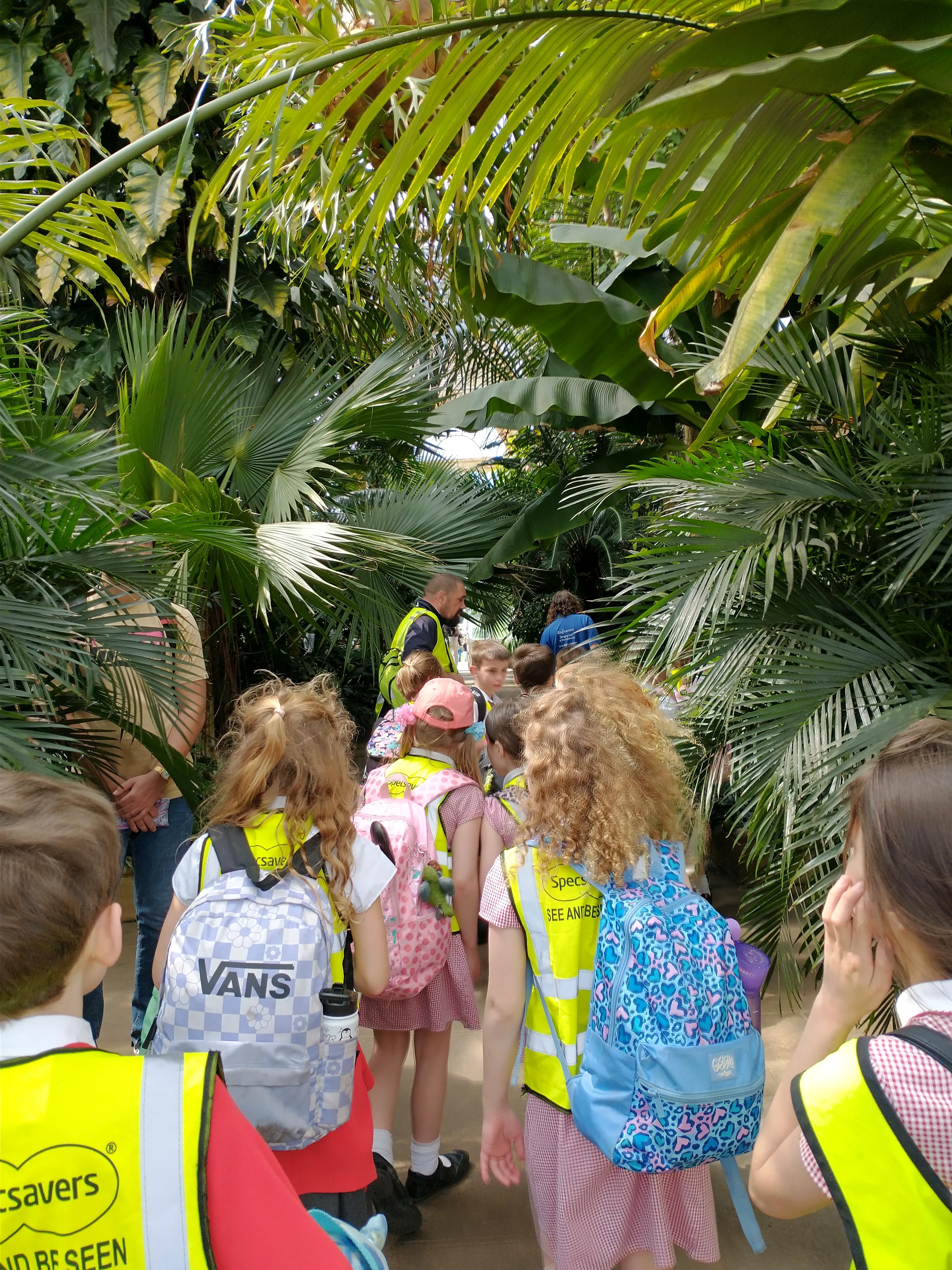 Experiencing the humidity and plant variety in the Palm House.